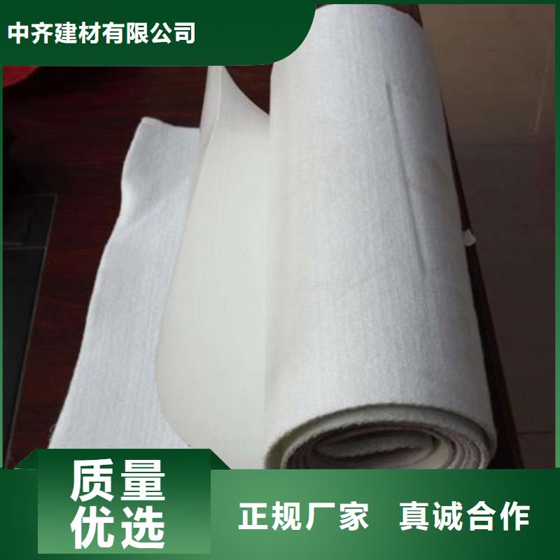 透水长丝无纺土工布