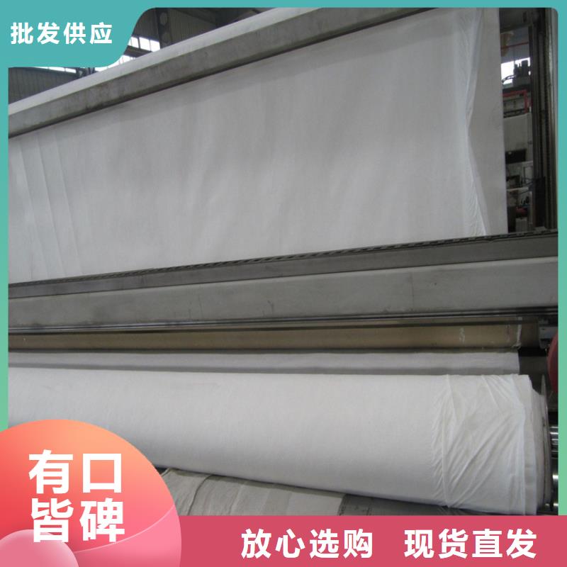 土工布土工格栅厂家直销规格多样