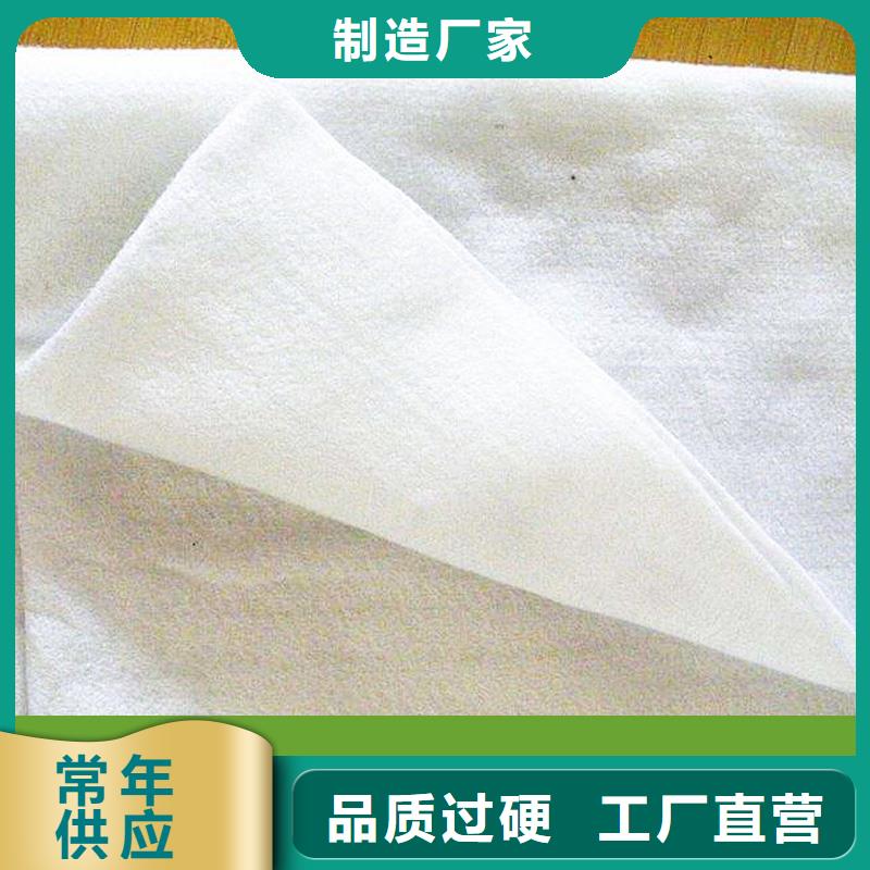聚酯无纺土工布
