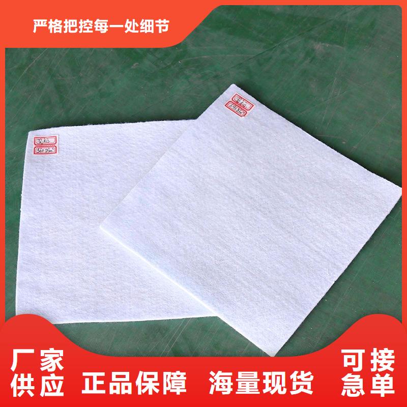 透水长丝无纺土工布