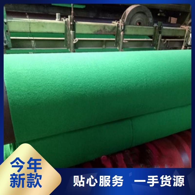 土工布土工格栅厂家直销规格多样