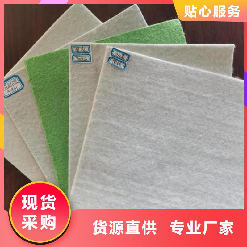 土工布土工格栅厂家直销规格多样