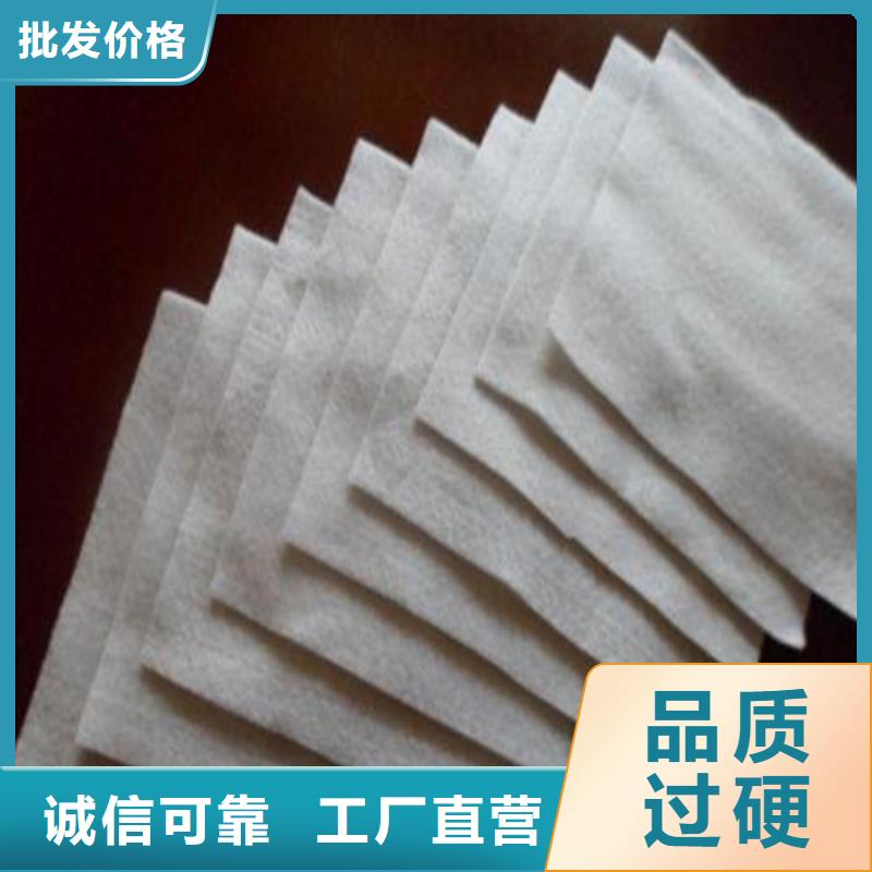 土工布土工格栅厂家直销规格多样