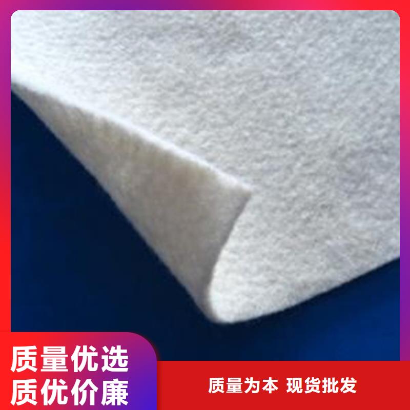 土工布土工格栅厂家直销规格多样