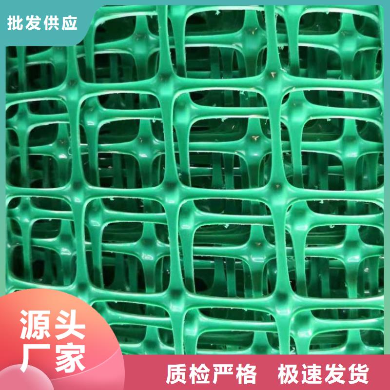 聚酯PE土工格栅