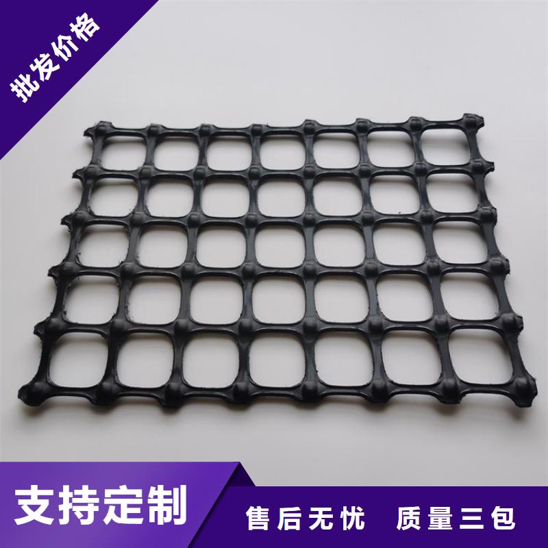 聚酯PE土工格栅