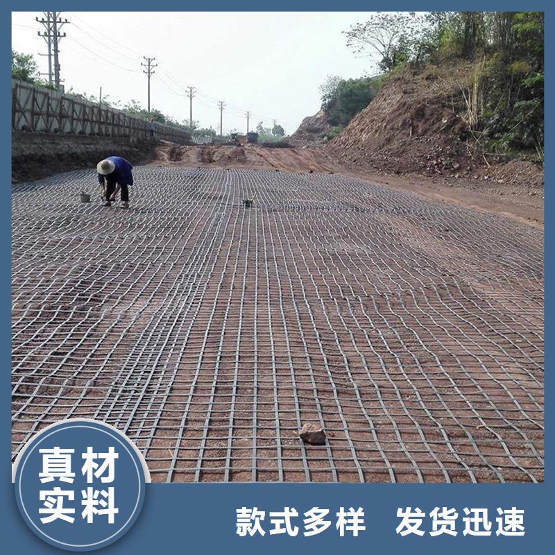 聚酯PE土工格栅