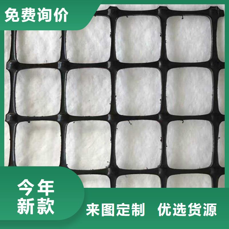 聚酯PE土工格栅