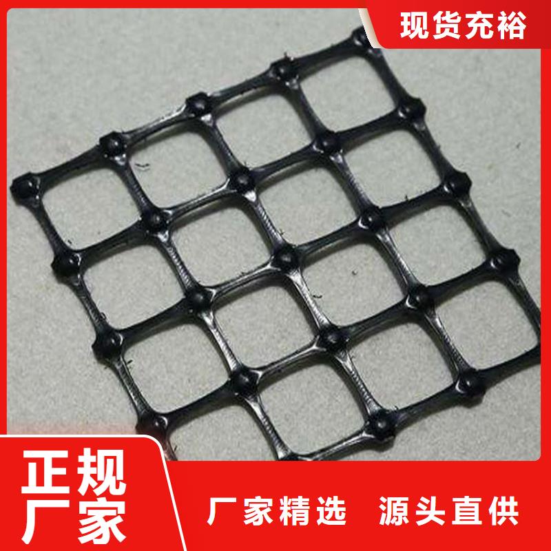 聚酯PE土工格栅