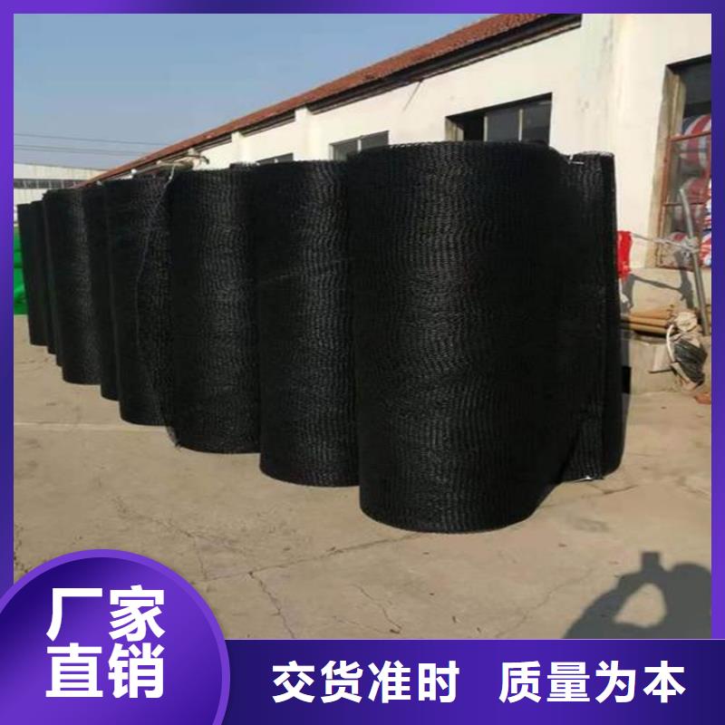 【通风降噪丝网土工格栅专业完善售后】