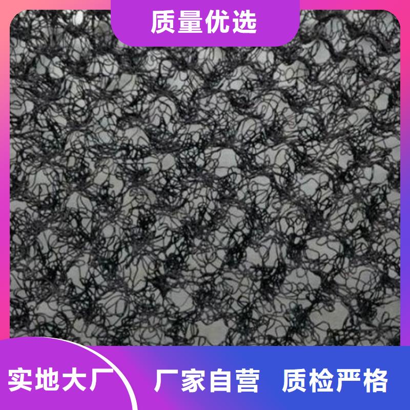 水土保护毯-土工网实力派厂家