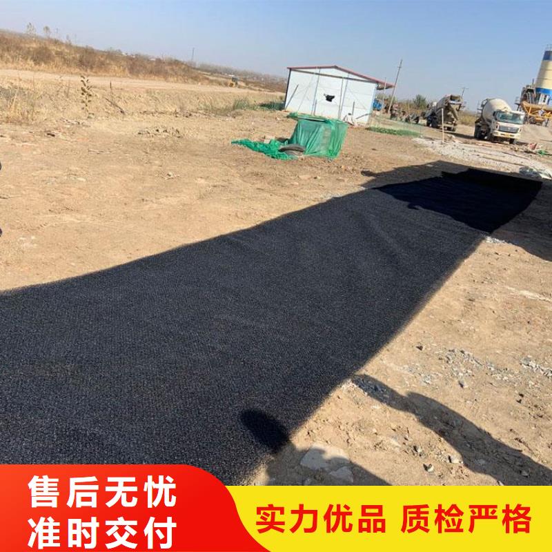 水土保护毯-土工网实力派厂家