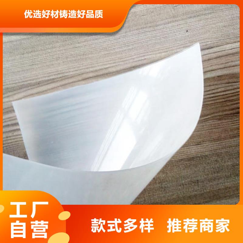 防水板80KN玻纤格栅选择我们没错
