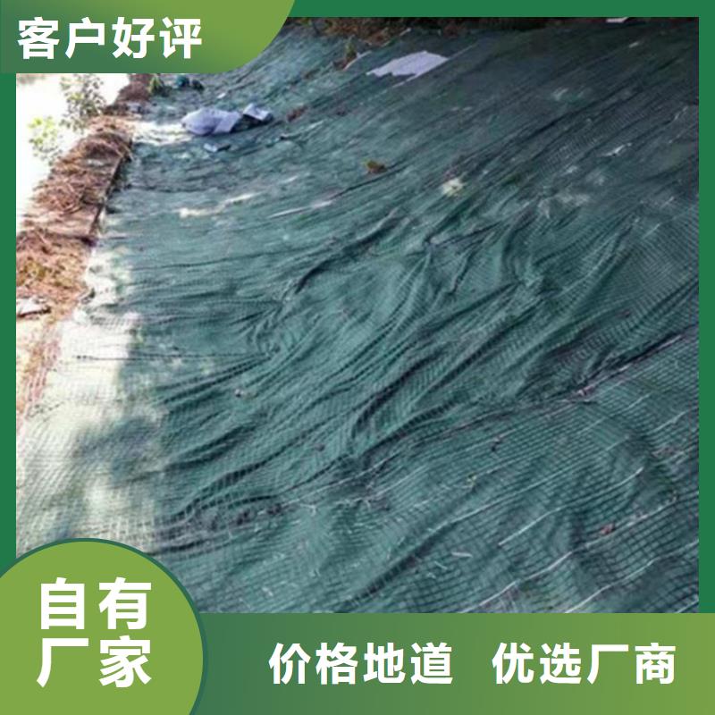 儋州市护坡植被植草毯厚度