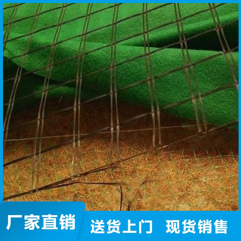 生态植物防护毯厂家资讯