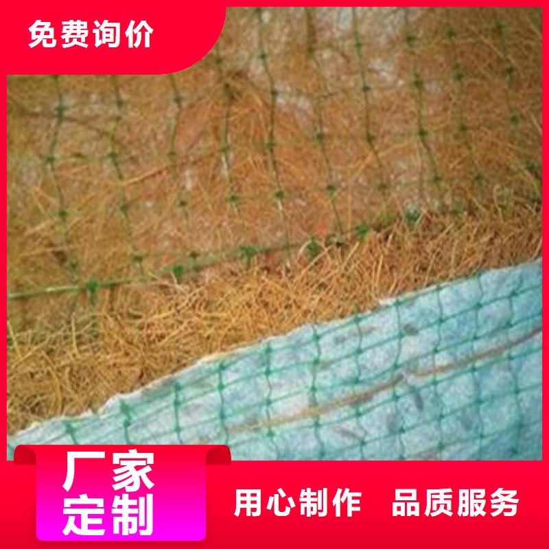 儋州市护坡植被植草毯厚度