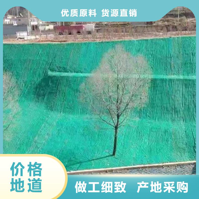 儋州市护坡植被植草毯厚度