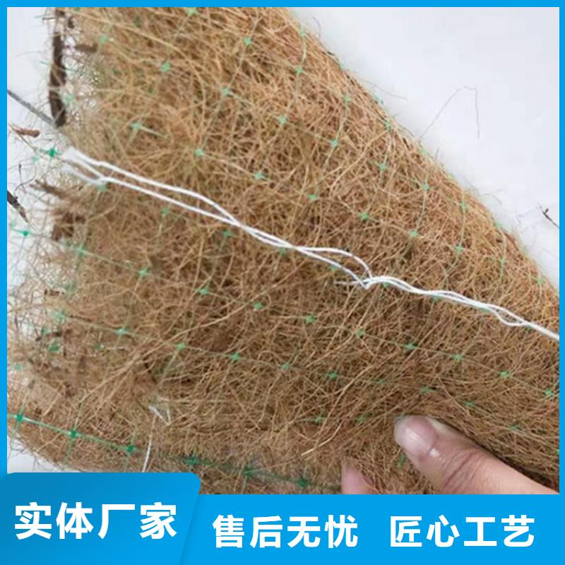 特别行政区植草椰丝毯办事处
