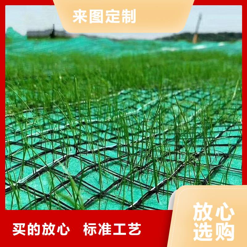 儋州市护坡植被植草毯厚度