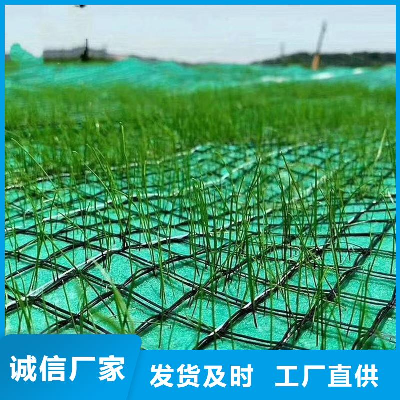 椰丝植生毯经销市场