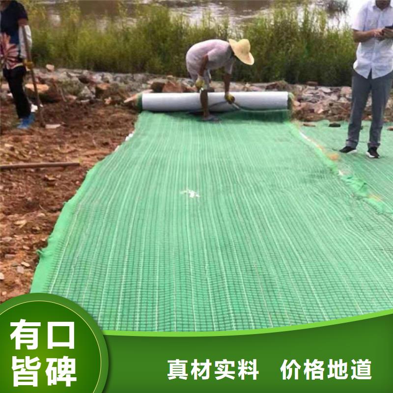椰丝纤维毯报价合理