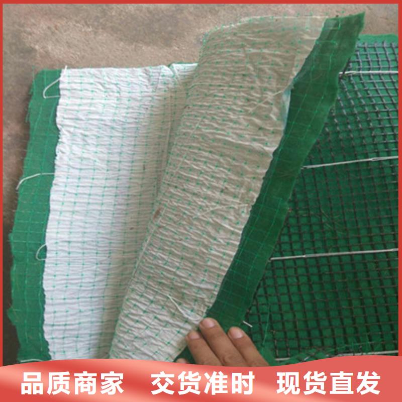 生态植物防护毯厂家资讯