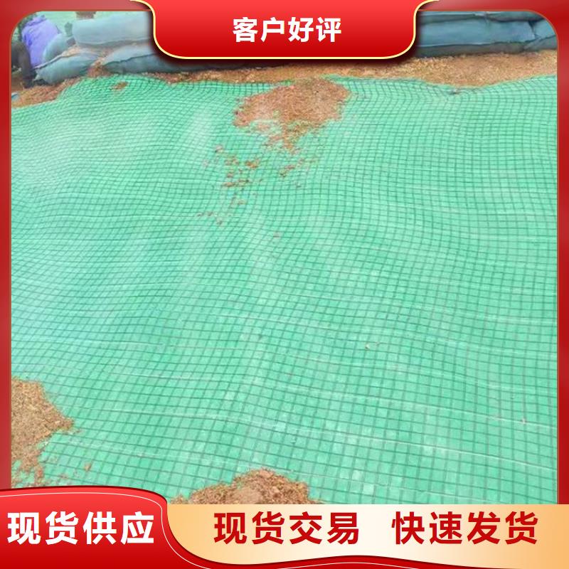 环保草毯椰纤植草毯