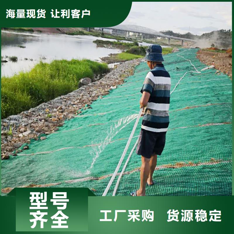 儋州市护坡植被植草毯厚度