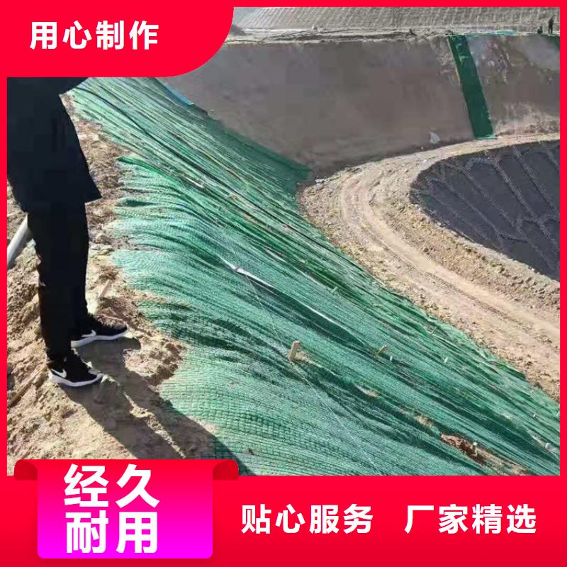加筋抗冲生态毯植生椰垫