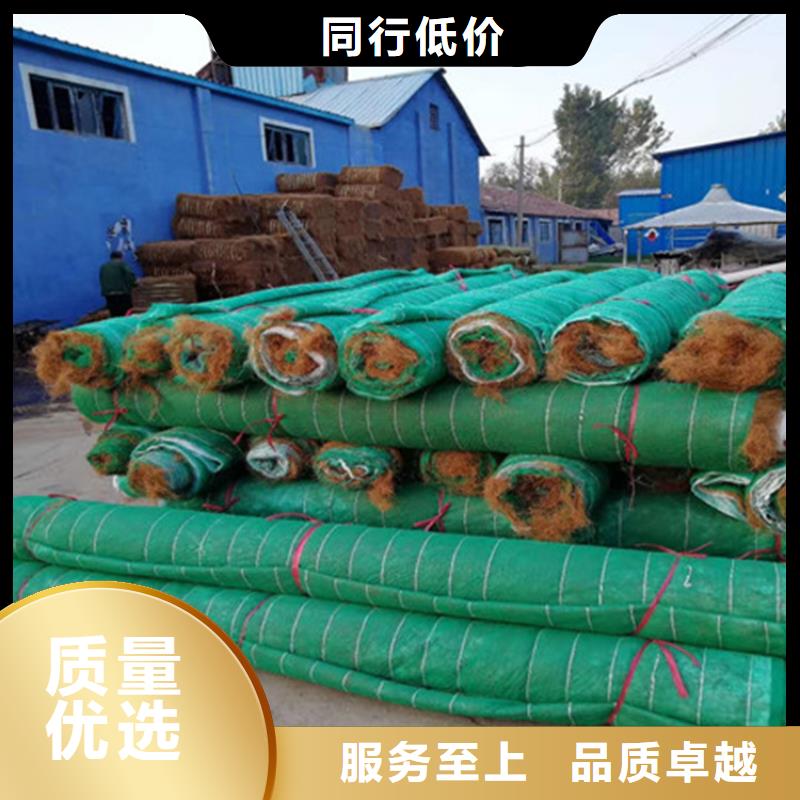 椰丝植生毯经销市场
