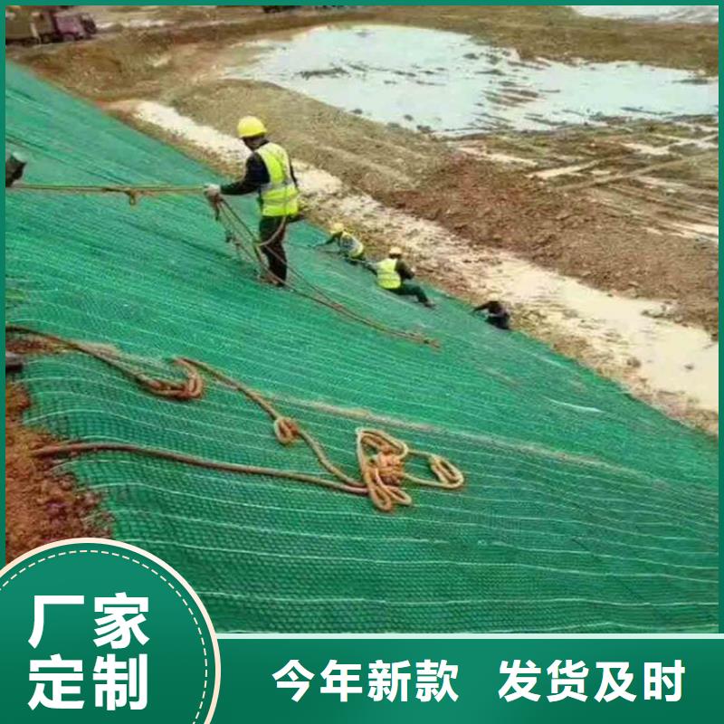 植物纤维毯生态毯