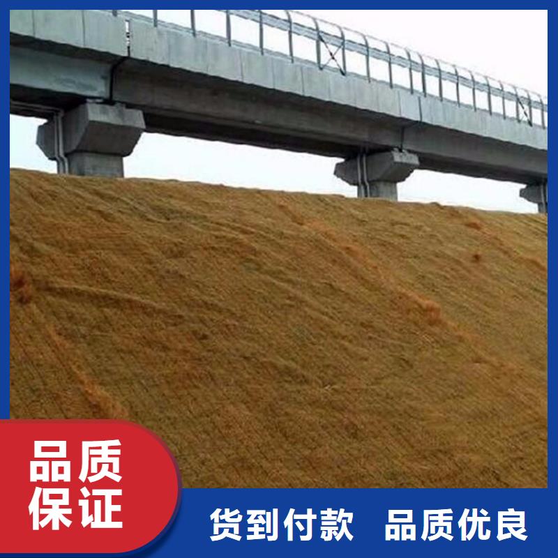 环保草毯椰纤植草毯