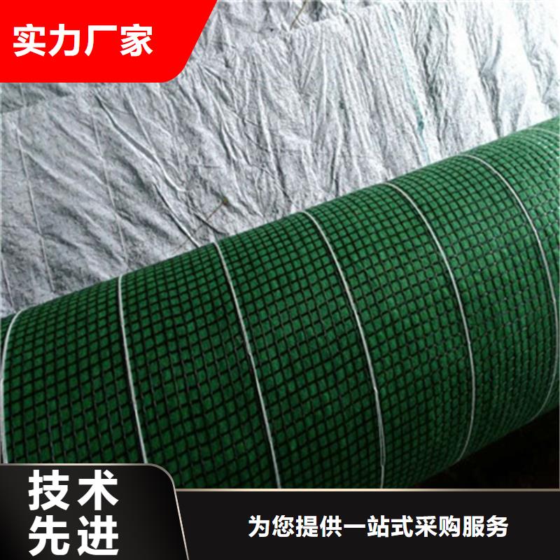 生态植物防护毯加筋抗冲生态毯