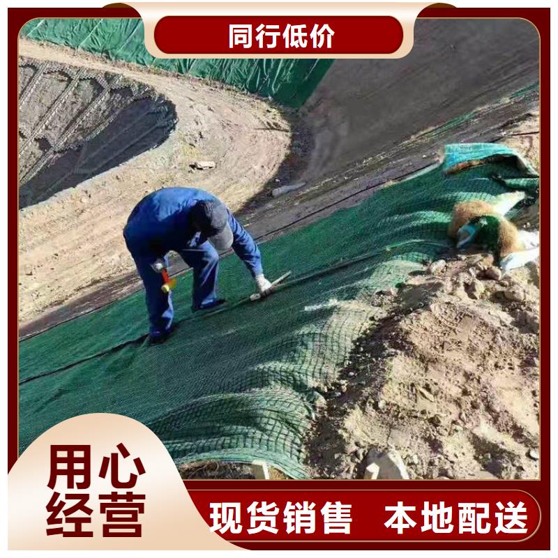 加筋抗冲生态毯植生椰垫