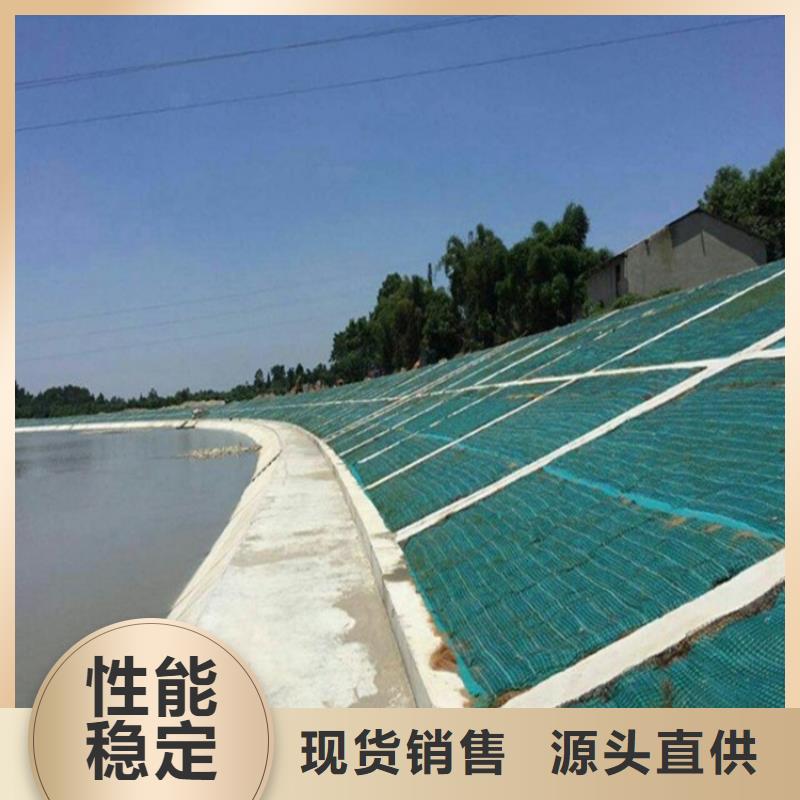 加筋抗冲生态毯植生椰垫
