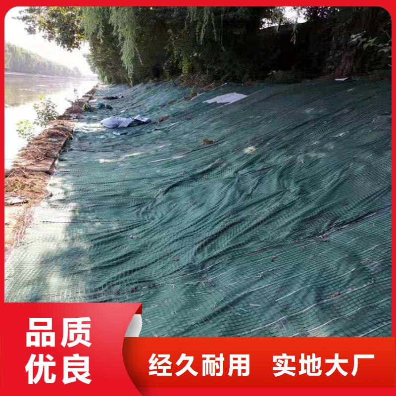 椰丝毯【土工格室】真材实料
