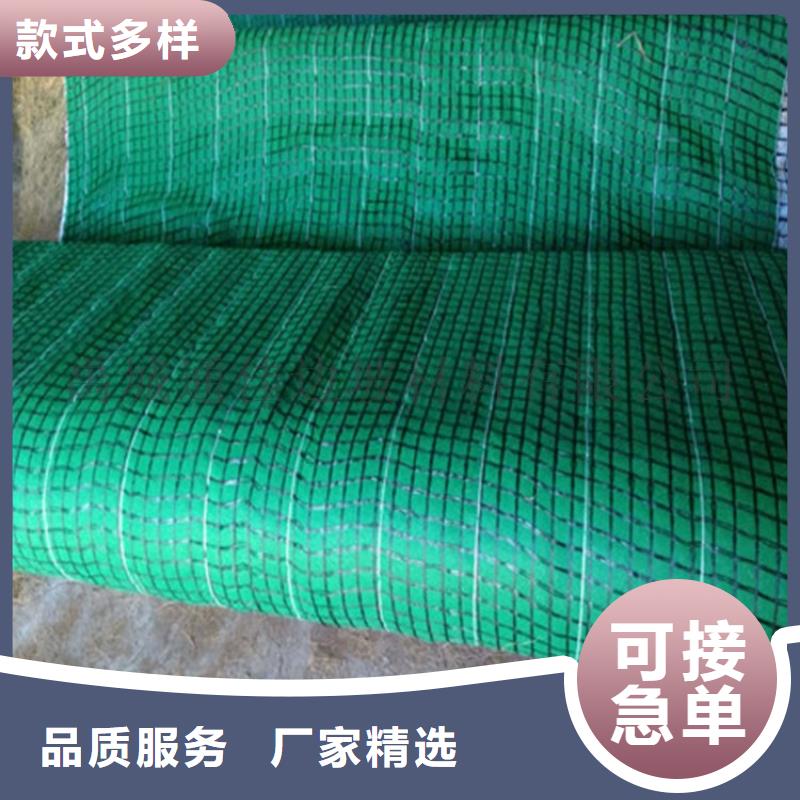 生态植物防护毯加筋抗冲生态毯
