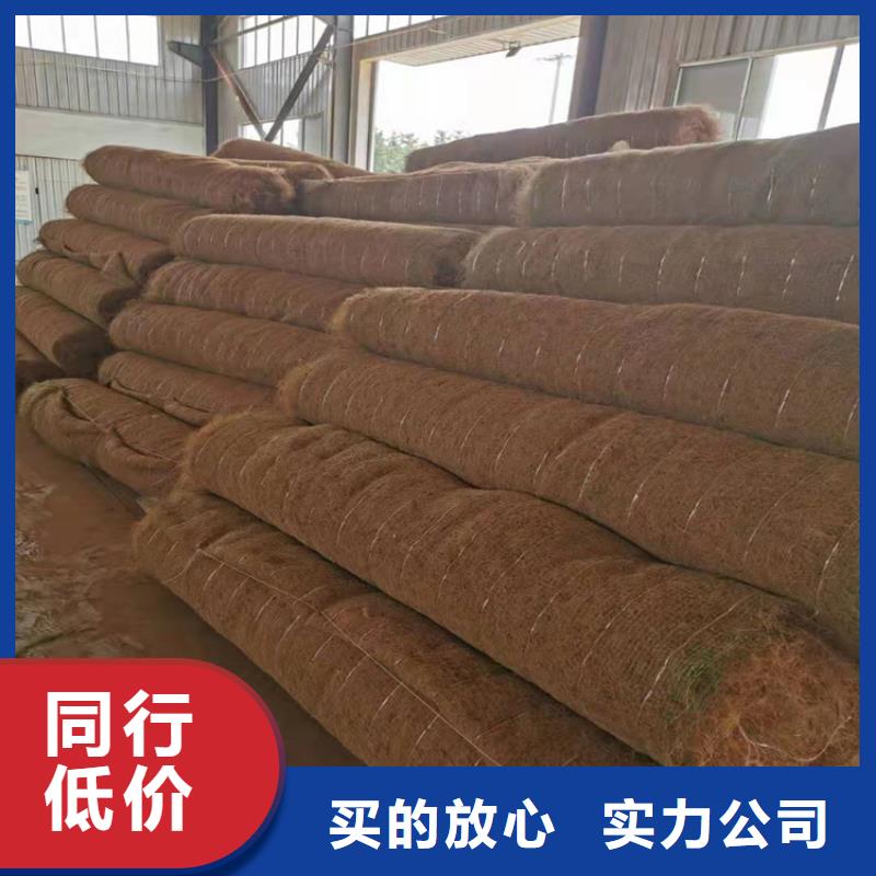 椰丝植生毯经销市场