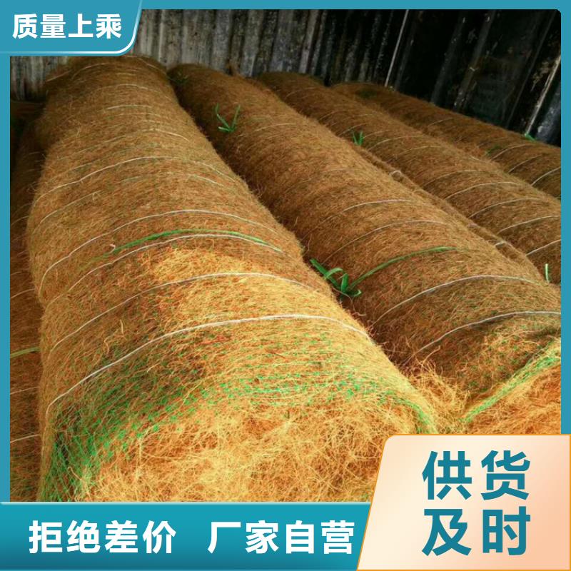 环保草毯椰纤植草毯