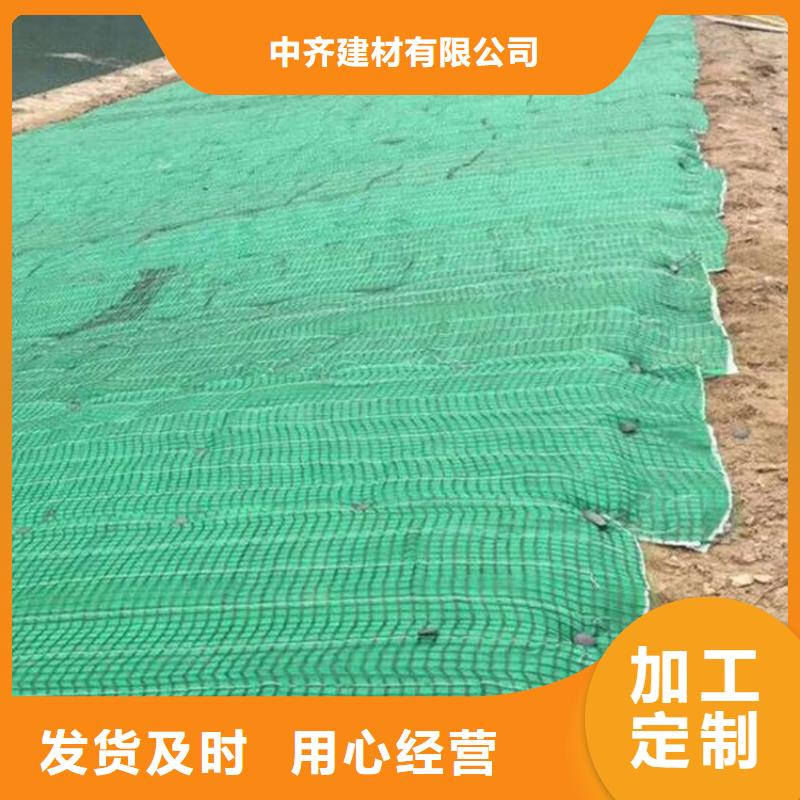 椰丝毯塑料盲沟一站式厂家