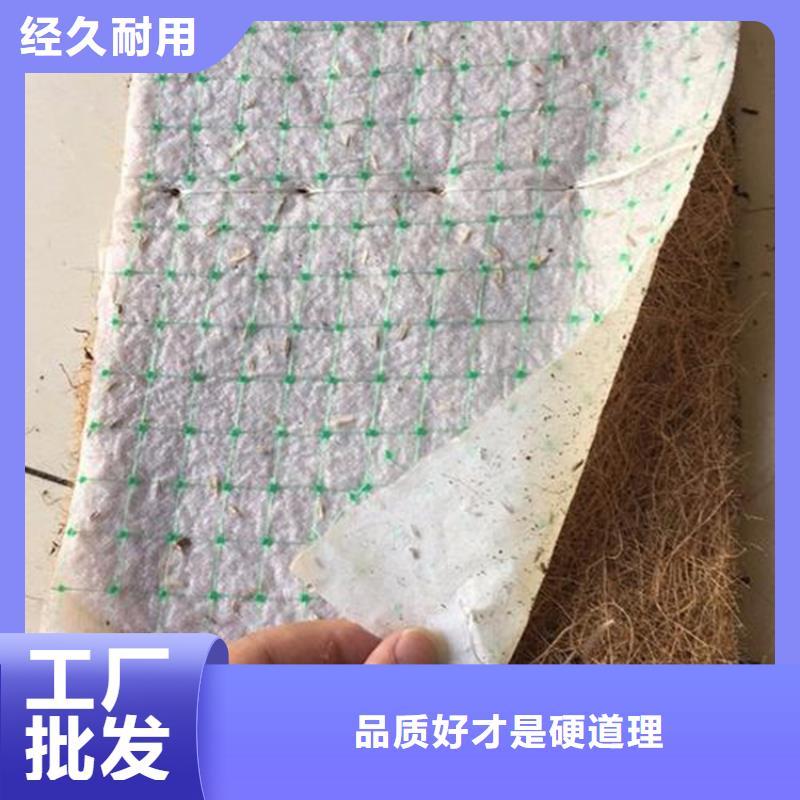 椰丝毯【土工格室】真材实料