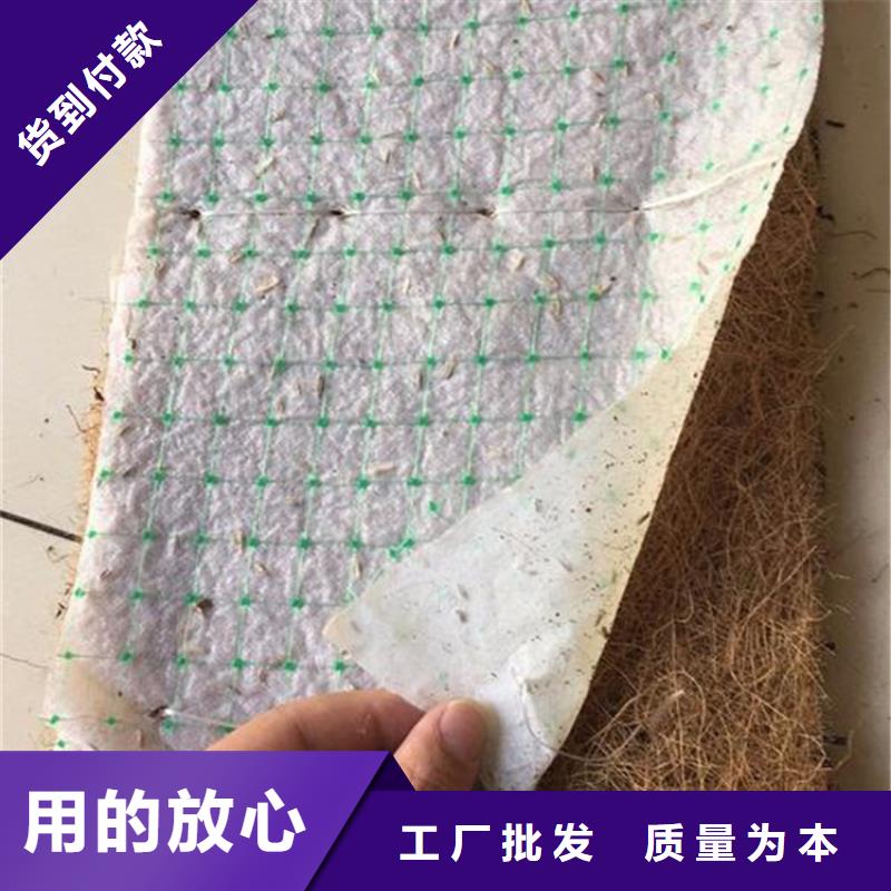 特别行政区植草椰丝毯办事处