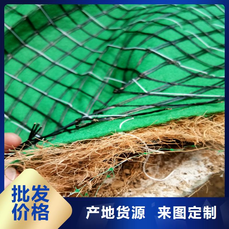 特别行政区植草椰丝毯办事处