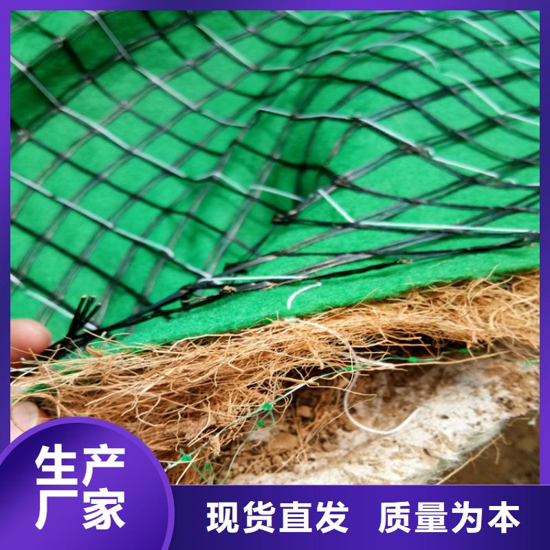 特别行政区植草椰丝毯办事处