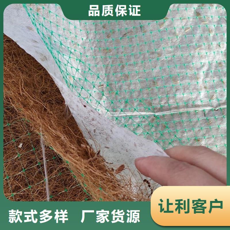 特别行政区植草椰丝毯办事处