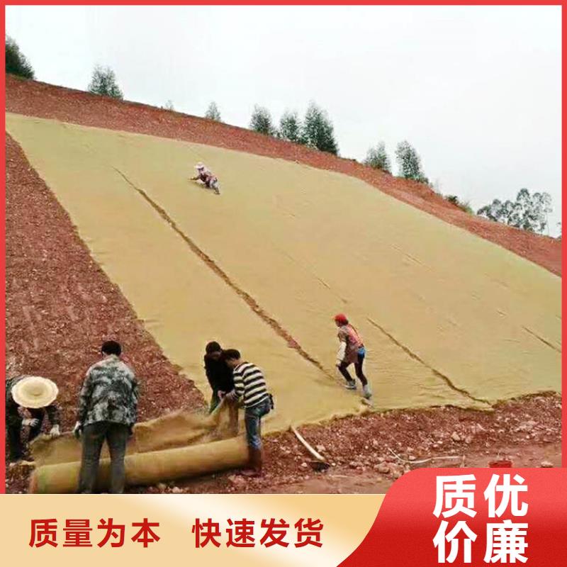 特别行政区植草椰丝毯办事处