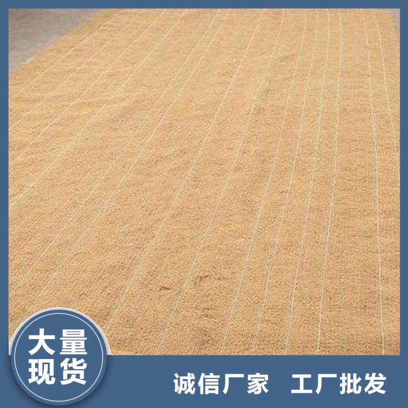 特别行政区植草椰丝毯办事处