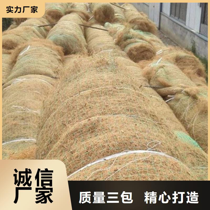 特别行政区植草椰丝毯办事处