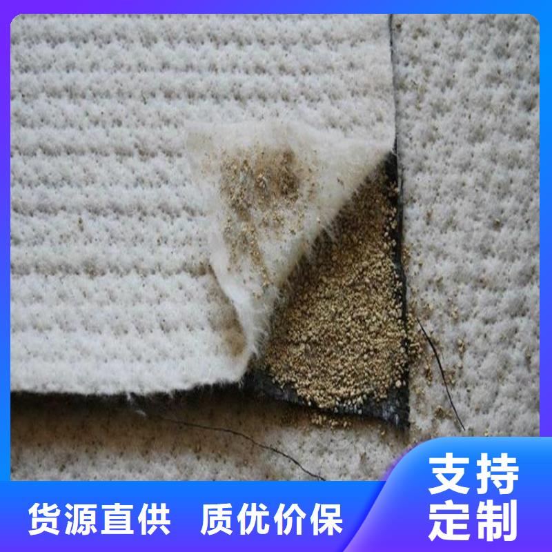 膨润土防水毯-土工膜厂家实力雄厚