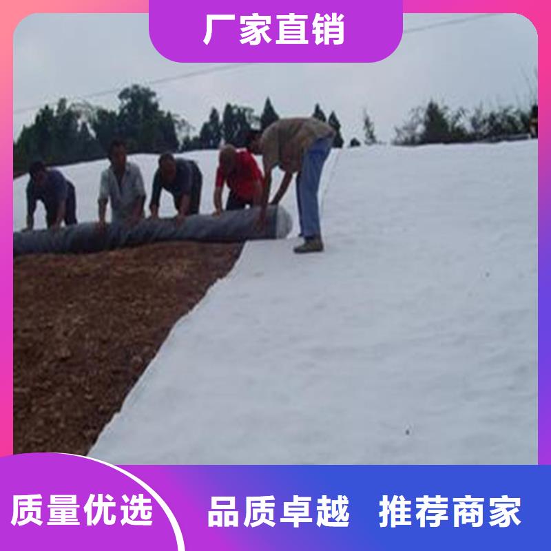 膨润土防水毯,复合土工膜N年专注